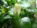 DSC08944