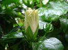 DSC08943