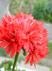 DSCN0694