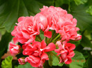 DSCN0676