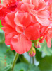 DSCN0623
