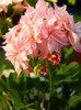 DSCN0612