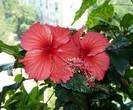 P1400018