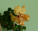 P1400029