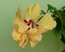 P1400036