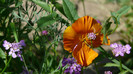 P1330472