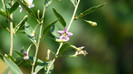 P1330476