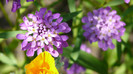 P1330484