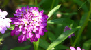P1330495