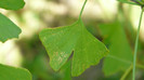 P1330502