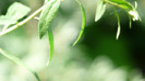 P1330505