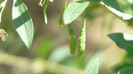 P1330519