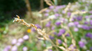 P1330526