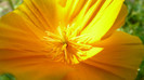 P1330541