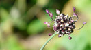 P1330556