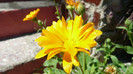 P1330578
