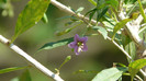P1330582