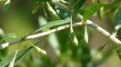 P1330583