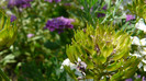 P1330590
