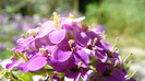 P1330597