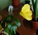 P1400102