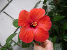 DSC08950