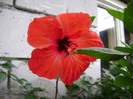 DSC08945