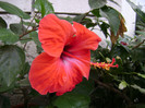 DSC08949