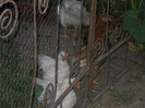 DSCN3872