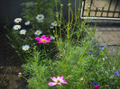 DSCN3776
