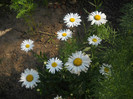 DSCN3778