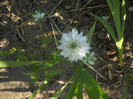 DSCN3780