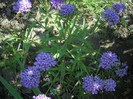DSCN3781