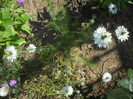 DSCN3783