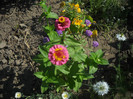 DSCN3784