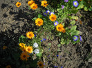DSCN3785