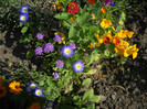 DSCN3786