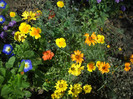 DSCN3789