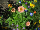 DSCN3790