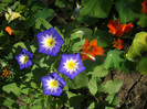 DSCN3793