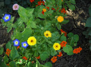 DSCN3794