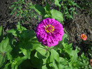 DSCN3803