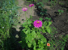 DSCN3806