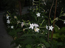 DSCN3860