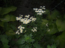 DSCN3861