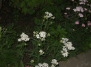DSCN3882