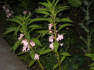 DSCN3883