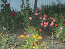 DSCN3884