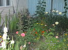 DSCN3885