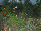 DSCN3886